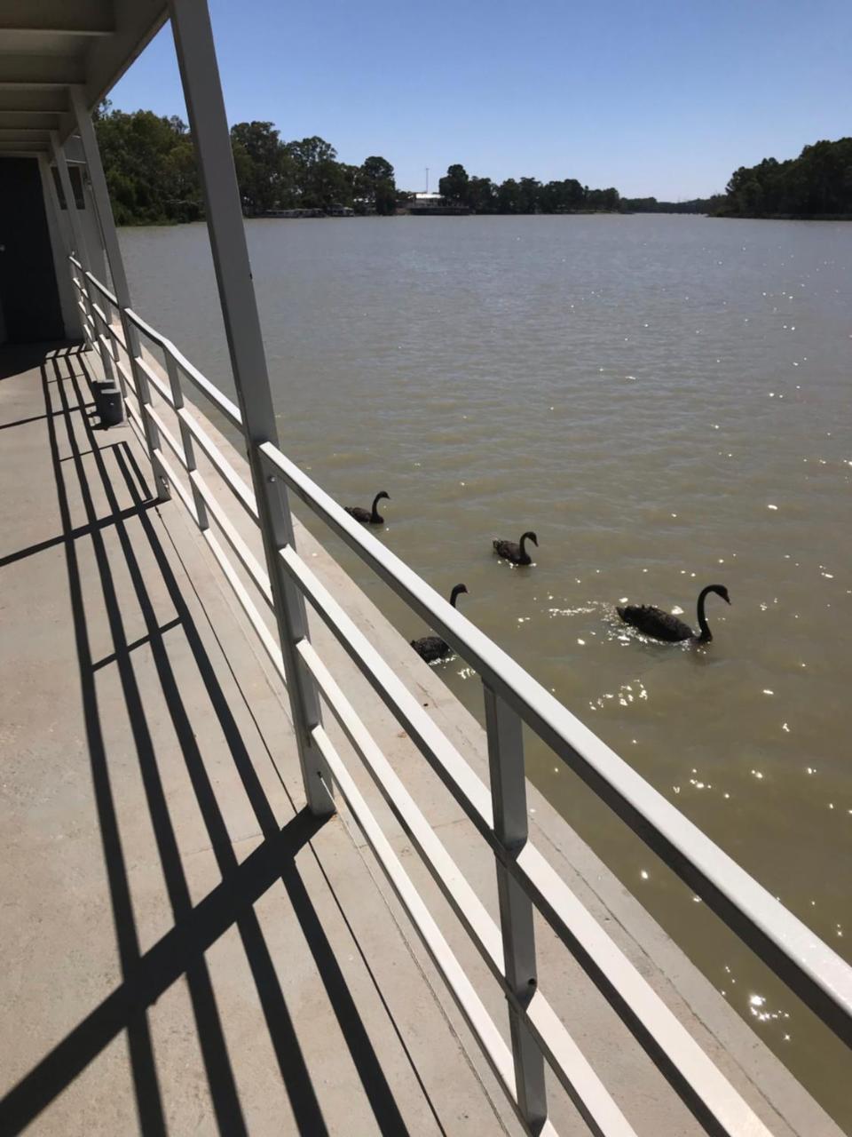 Murray River Queen Hotell Renmark Eksteriør bilde